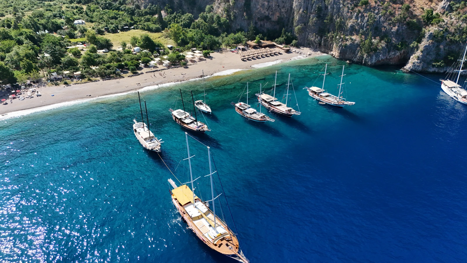 butterfly valley