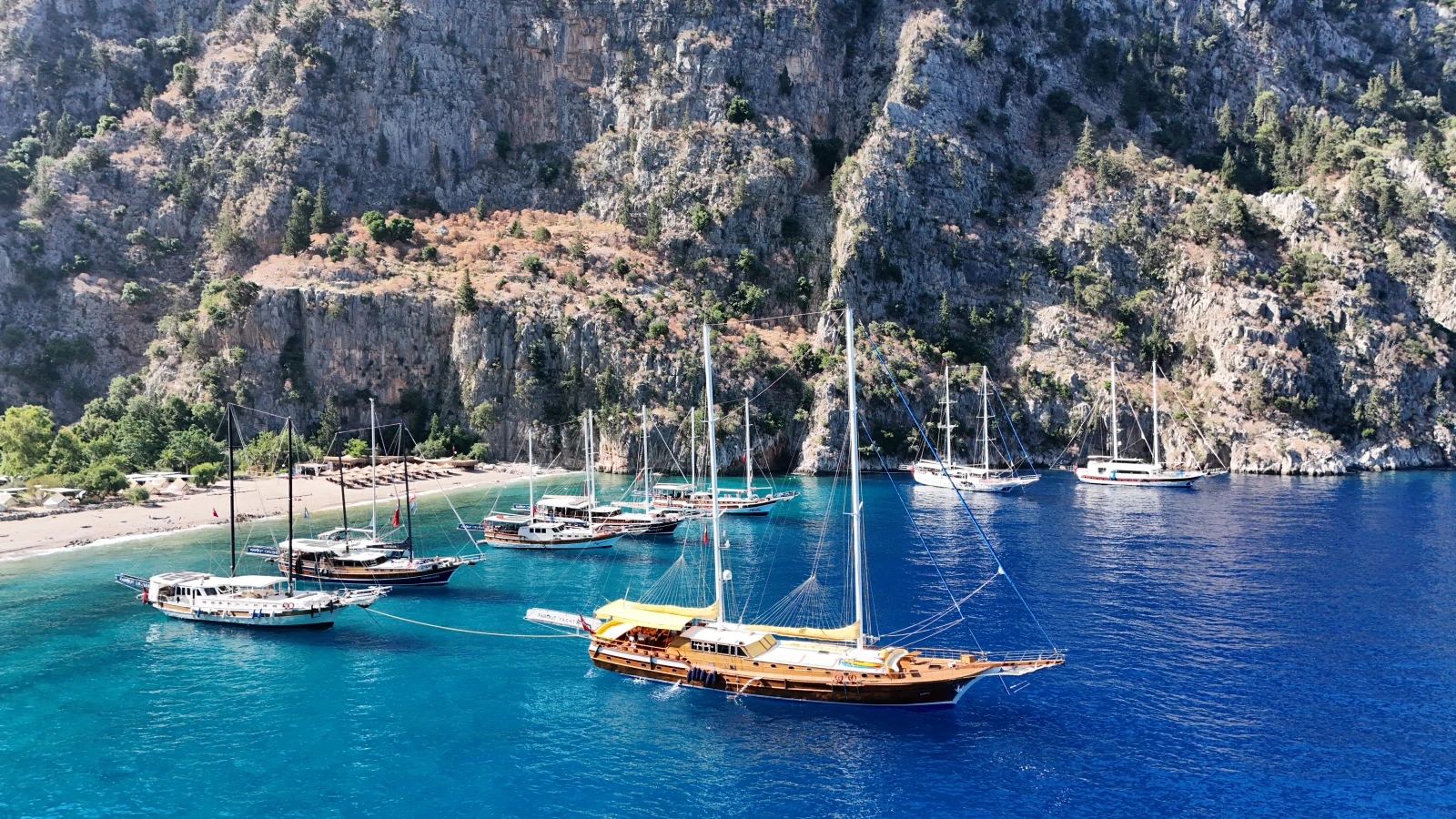 butterfly valley