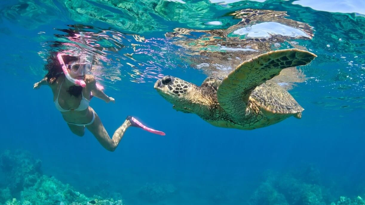 Snorkelling