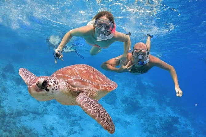 Snorkelling
