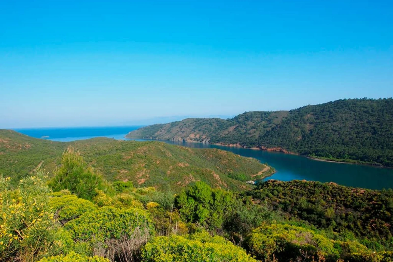 longoz bay