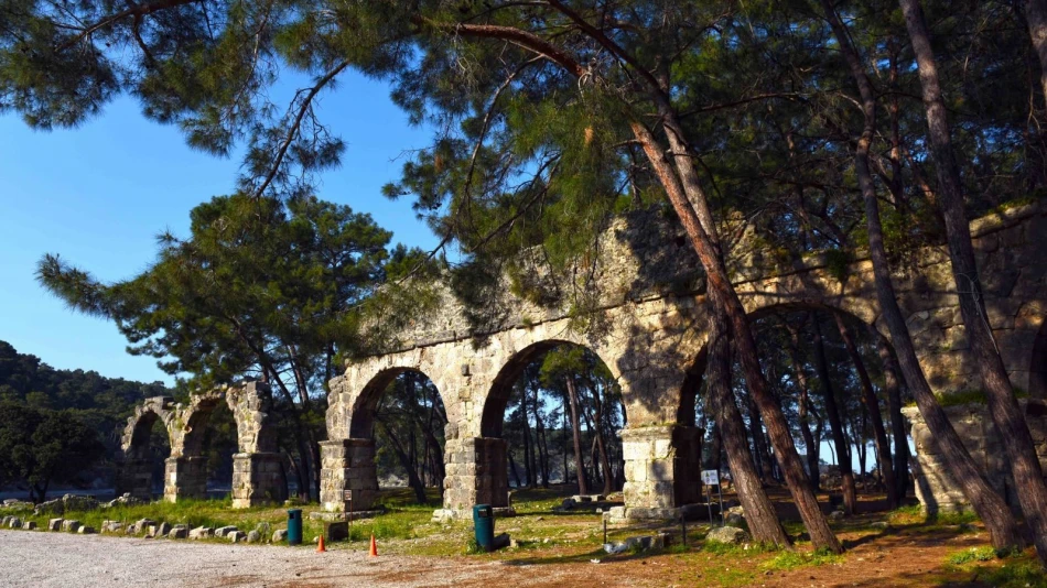 phaselis