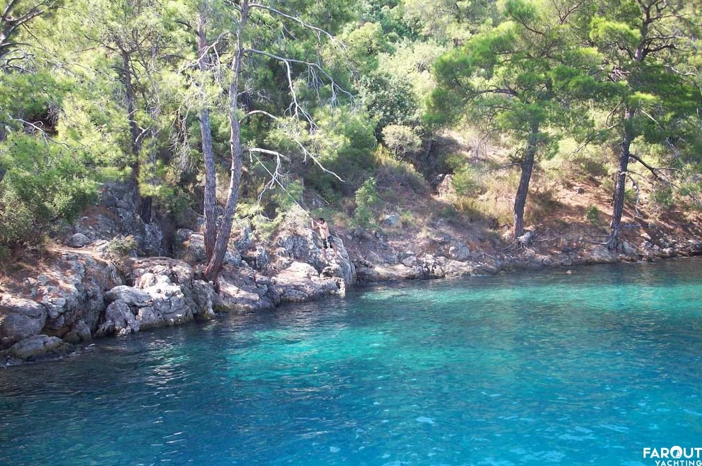 tarzan bay