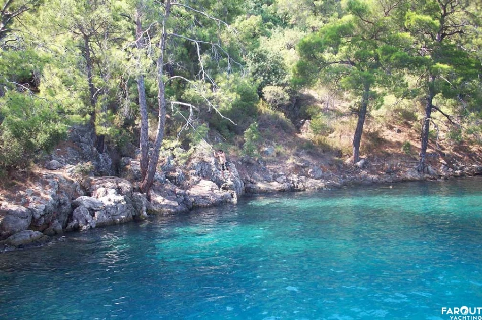 tarzan bay