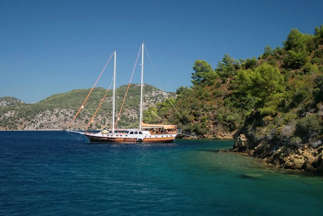 domuz island