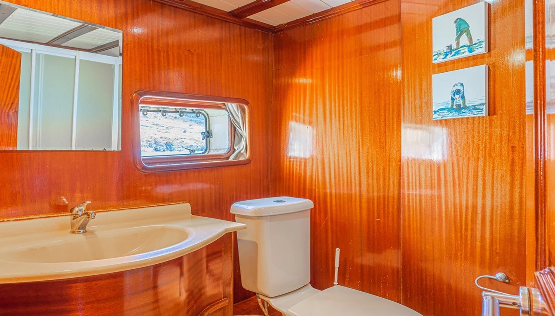 cabin